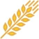 grain